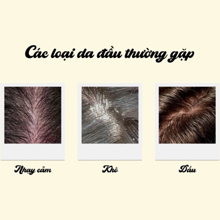 Làm sao để kiểm tra độ phù hợp của sản phẩm với tóc?