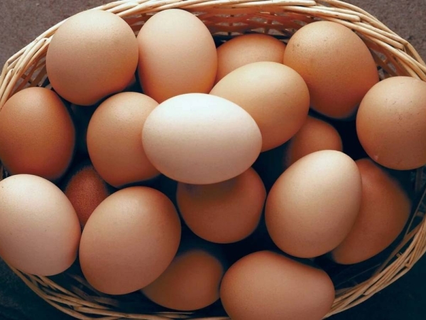 Các loại thực phẩm tốt cho tóc chắc khỏe từ bên trong